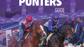 HDJ-Punters-Guide-Digimag-COVER2.jpg